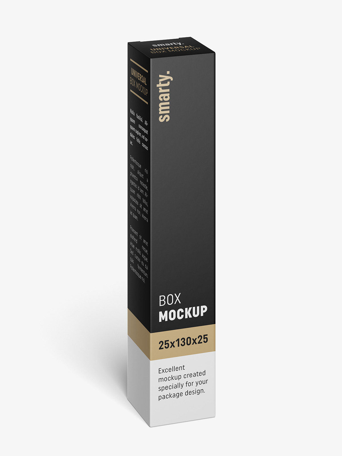 Download Box mockup / 25x130x25 - Smarty Mockups