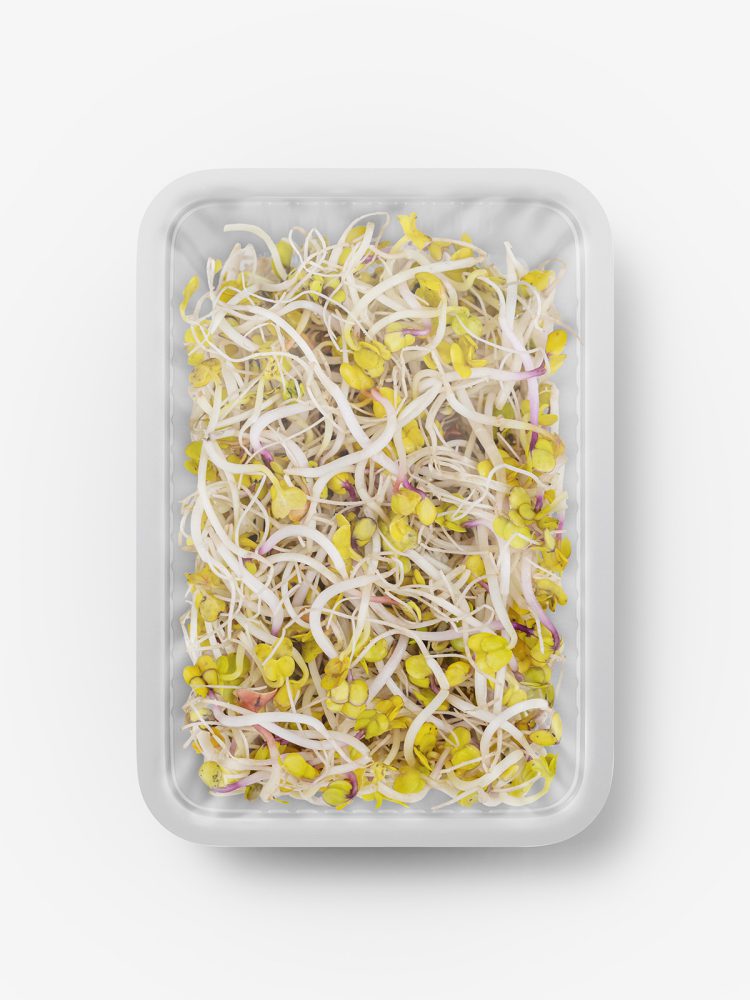 Radish sprout tray mockup